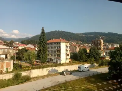 Самостоятелни стаи Метаксинови
