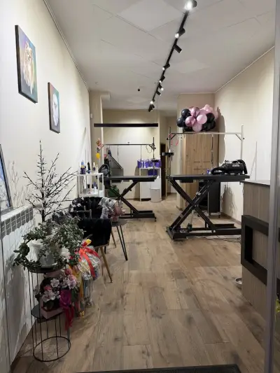 Sancho Grooming Salon