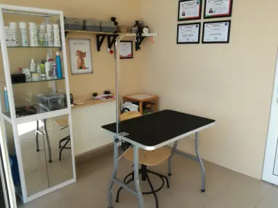 Findus Pet Grooming