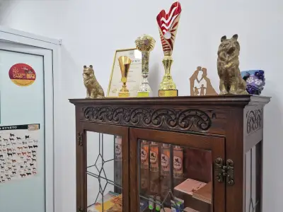 Doreta Professional Grooming, бутик и груминг услуги за домашни любимци