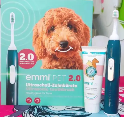 Shampoo Puppy Pet Grooming