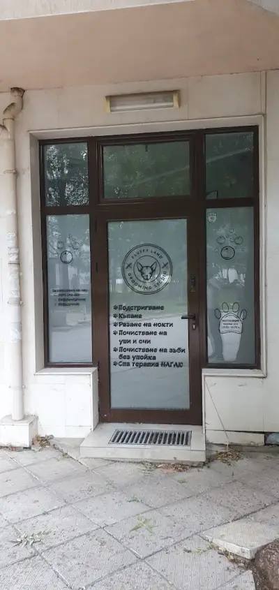 Флъфи ленд