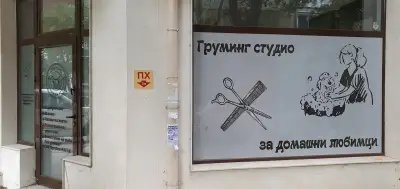 Флъфи ленд