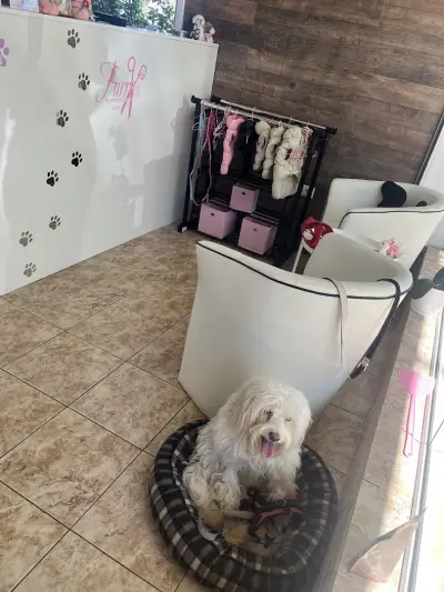 Furry Grooming & Care Salon