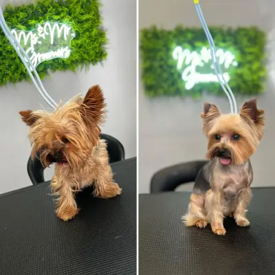 Груминг салон/ Ms. & Mr. Groomers