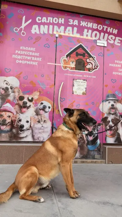 Груминг салон Animal House