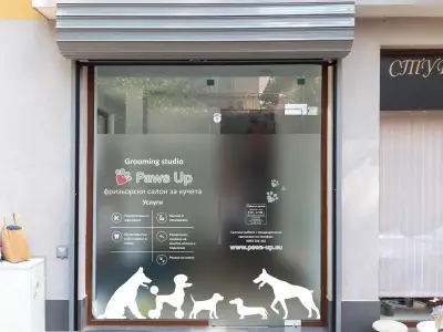 Груминг студио Paws Up