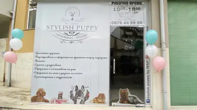 Груминг студио Stylish Puppy by M&P