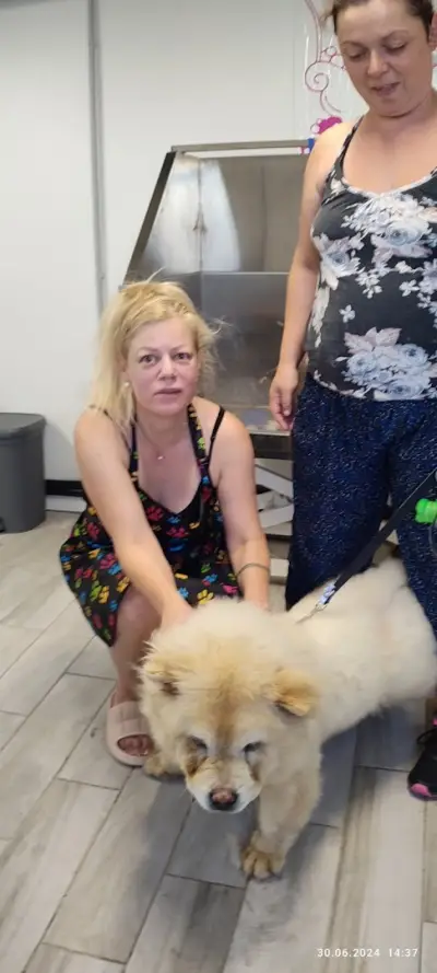 Груминг салон Beauty Pet