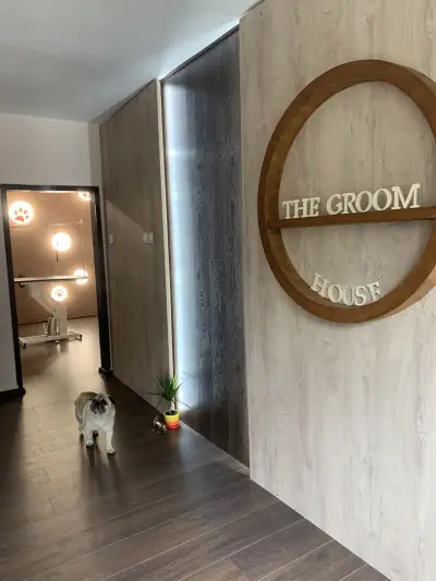 The Groom House І Груминг салон І Груминг студио І Подстригване на кучета І Салон за кучета