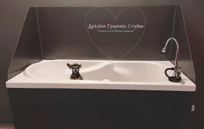 Дръзки І Груминг Студио І Пловдив І Почистване на зъбен камък І Подрязване на нокти І Почистване на уши І Озонотерапия