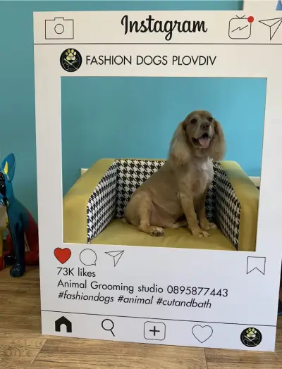Fashion Dogs Plovdiv І Груминг салон І Груминг студио І Подстригване на кучета І Салон за кучета