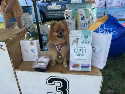Pet Grooming Studio 55