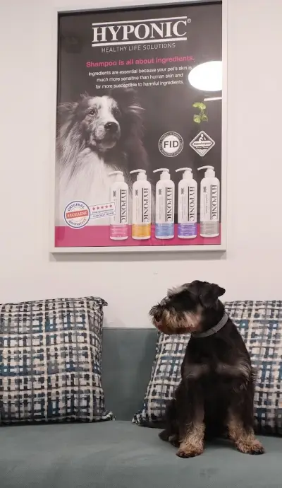 Ruff Haus