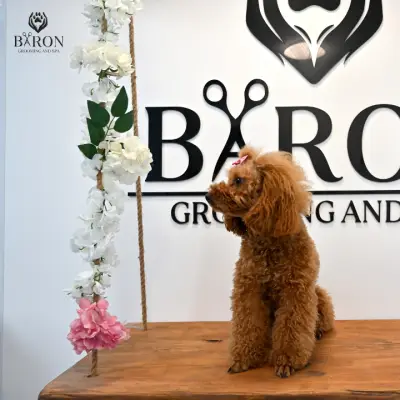 Baron grooming and spa