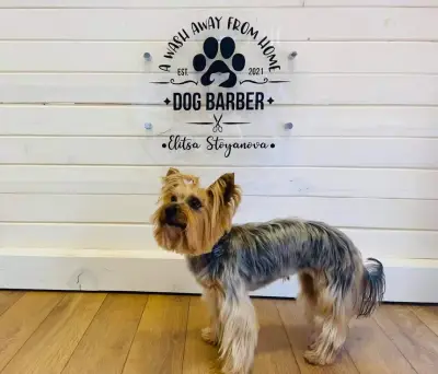Dog Barber