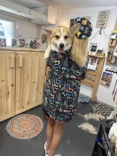 Dog Sense Grooming І Фризьорски салон за кучета І София