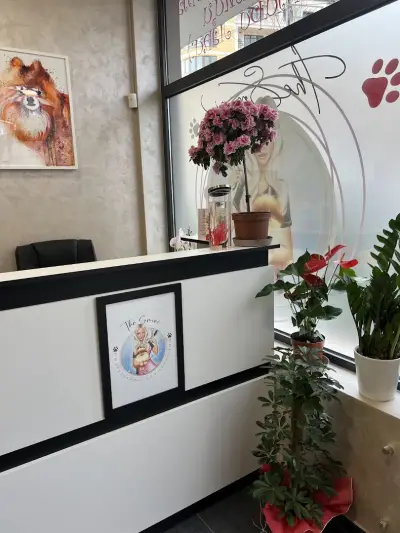 The Smini Groomer Pet Studio Фризьорско Студио за Кучета