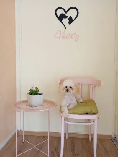 Груминг салон "Hearty Grooming"