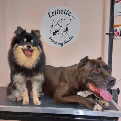 Esthetic Grooming Studio / Естетик - Салон за домашни любимци