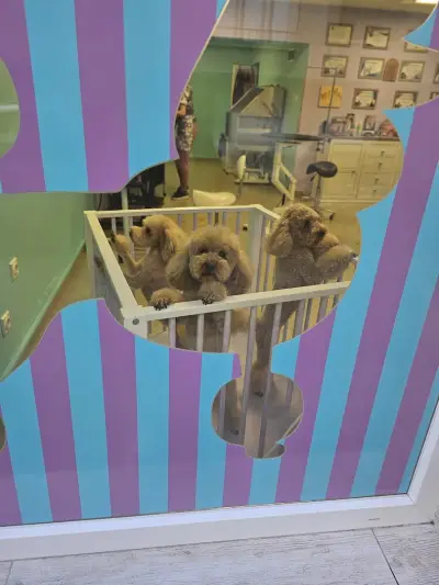 Sisters' Grooming Salon