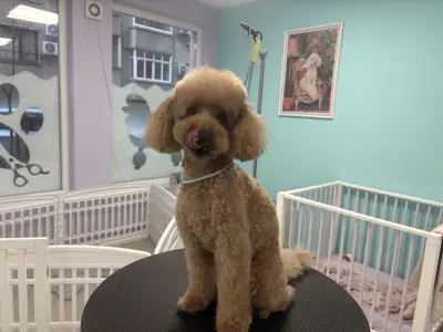 Sisters' Grooming Salon