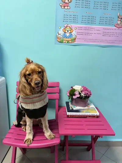 Sisters' Grooming Salon