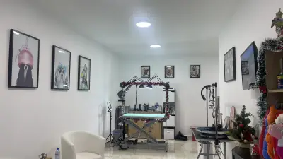 Grooming Salon FOUR PAWS | Цялостен Груминг за кучета, Подстригване, Къпане, Сресване Бургас