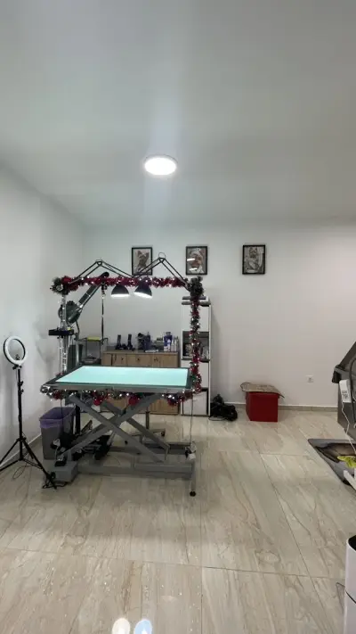 Grooming Salon FOUR PAWS | Цялостен Груминг за кучета, Подстригване, Къпане, Сресване Бургас