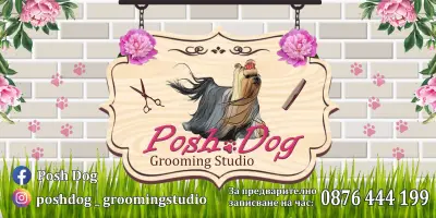 Posh Dog - Груминг студио