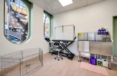 Bark N’ Bath Grooming Lounge