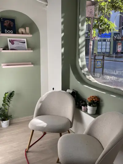 Bark N’ Bath Grooming Lounge