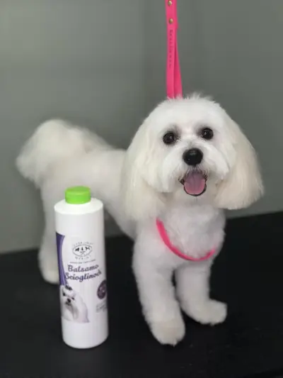 Груминг Салон - "Bubbles Dog Grooming"