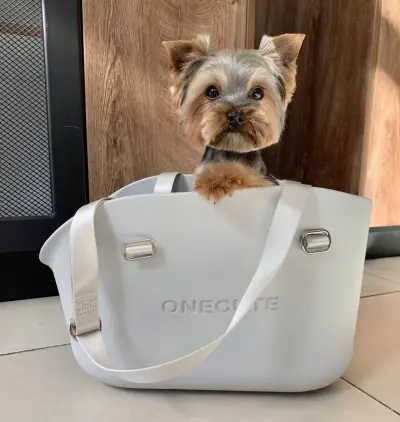 Груминг салон El Caniche