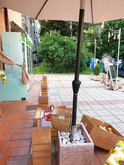 Домашница