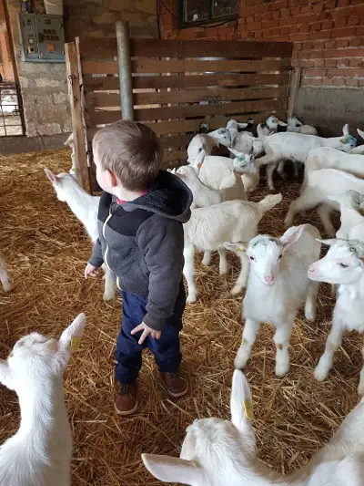 Семейна биоферма TODOROVFARM