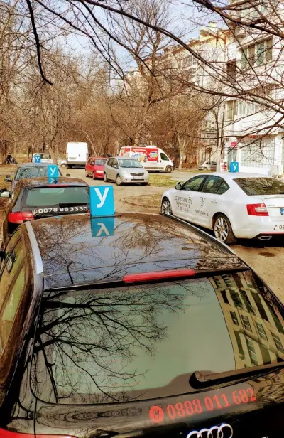 Ес Ти Ес Тийм ООД