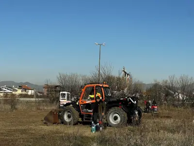 Професионал БГ ООД