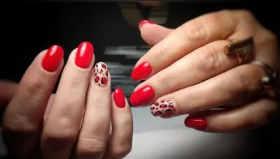 Beauty Studio ZG