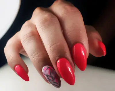 Supreme beauty studio