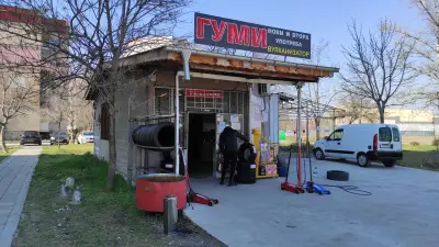 ГУМИ ЕКСПЕРТ