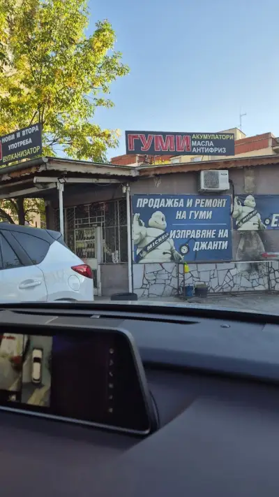 ГУМИ ЕКСПЕРТ