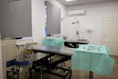 VetAcademy