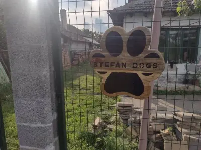 "СТЕФАН ДОГС" ЕООД