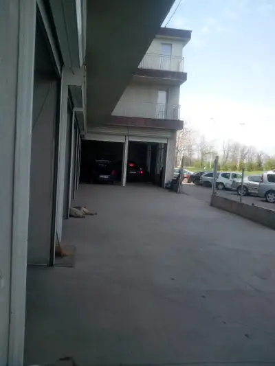 Алекс Девил