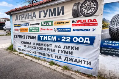 Сервиз гуми Тием-22