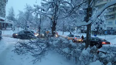 Файт Клима ЕООД