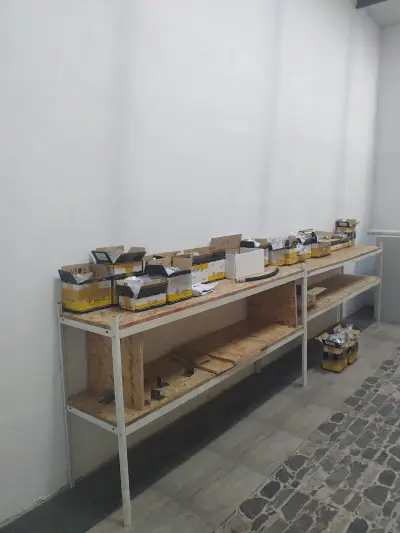 АРТ ЛАРС ЕООД
