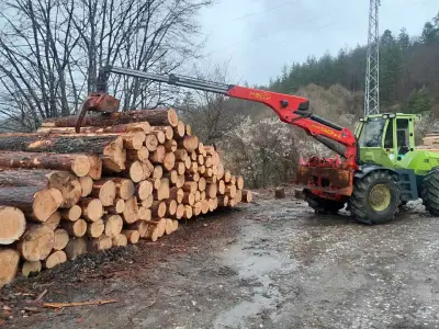 СС ПАЙН УУД ЕООД Изграждане на горски пътища.Дърводобив със специализирана техника.Транспорт.Производство на дървен