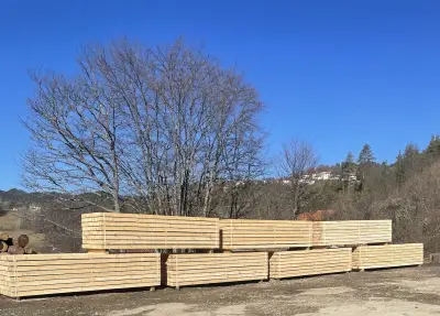 СС ПАЙН УУД ЕООД Изграждане на горски пътища.Дърводобив със специализирана техника.Транспорт.Производство на дървен
